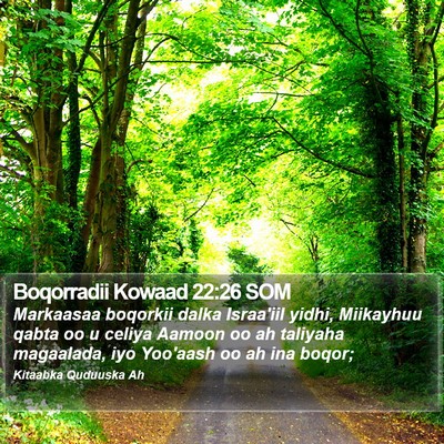 Boqorradii Kowaad 22:26 SOM Bible Verse Image