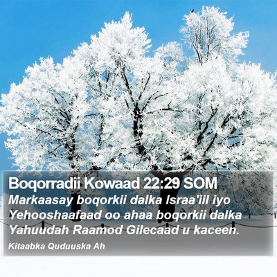 Boqorradii Kowaad 22:29 SOM Bible Verse Image