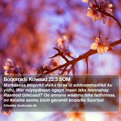 Boqorradii Kowaad 22:3 SOM Bible Verse Image
