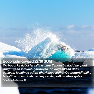 Boqorradii Kowaad 22:30 SOM Bible Verse Image