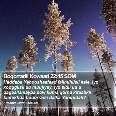 Boqorradii Kowaad 22:45 SOM Bible Verse Image