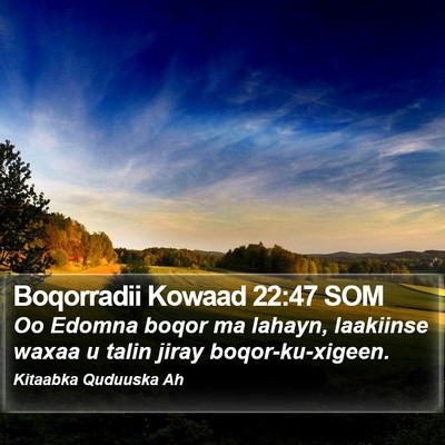 Boqorradii Kowaad 22:47 SOM Bible Verse Image