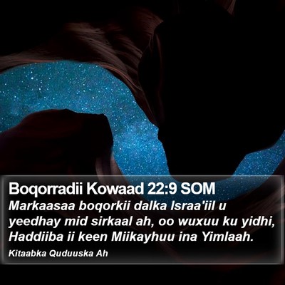 Boqorradii Kowaad 22:9 SOM Bible Verse Image