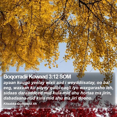 Boqorradii Kowaad 3:12 SOM Bible Verse Image