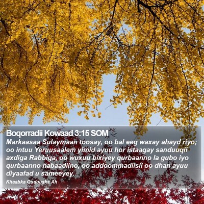 Boqorradii Kowaad 3:15 SOM Bible Verse Image