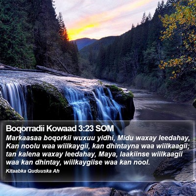 Boqorradii Kowaad 3:23 SOM Bible Verse Image