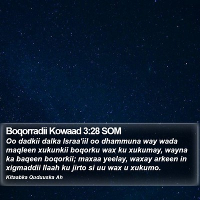 Boqorradii Kowaad 3:28 SOM Bible Verse Image