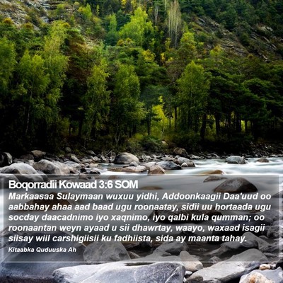 Boqorradii Kowaad 3:6 SOM Bible Verse Image