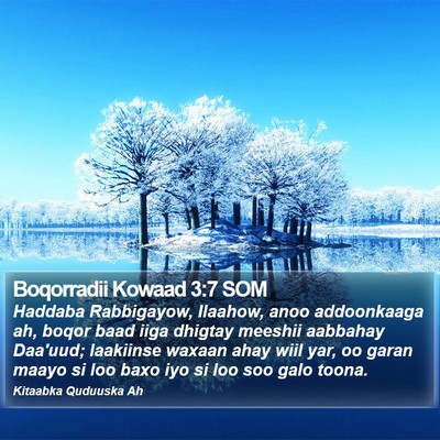 Boqorradii Kowaad 3:7 SOM Bible Verse Image