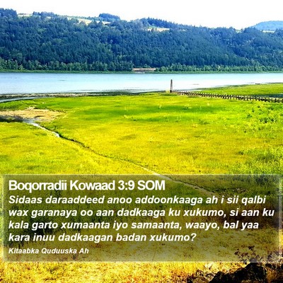 Boqorradii Kowaad 3:9 SOM Bible Verse Image