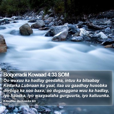 Boqorradii Kowaad 4:33 SOM Bible Verse Image
