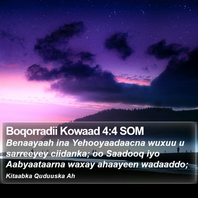 Boqorradii Kowaad 4:4 SOM Bible Verse Image