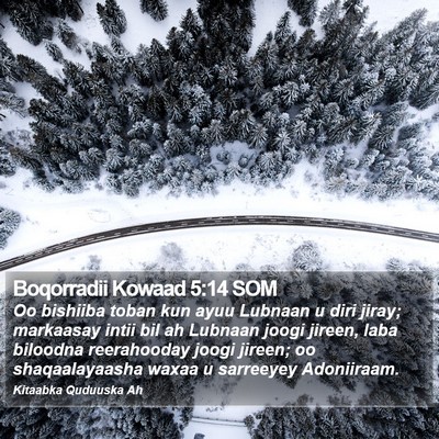 Boqorradii Kowaad 5:14 SOM Bible Verse Image