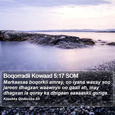 Boqorradii Kowaad 5:17 SOM Bible Verse Image