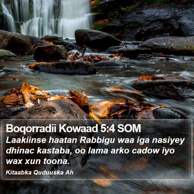 Boqorradii Kowaad 5:4 SOM Bible Verse Image
