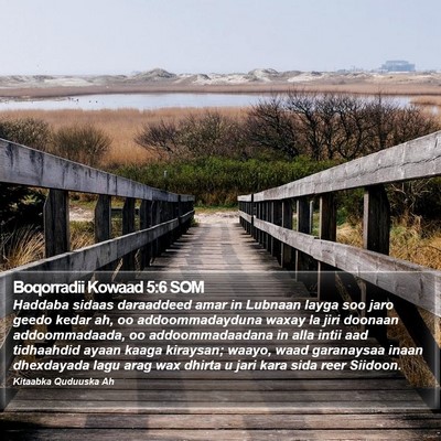 Boqorradii Kowaad 5:6 SOM Bible Verse Image