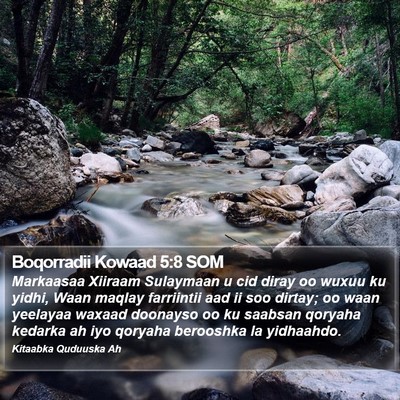 Boqorradii Kowaad 5:8 SOM Bible Verse Image