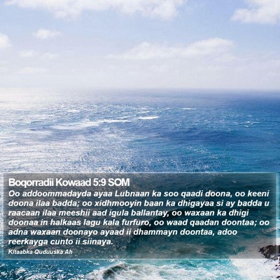 Boqorradii Kowaad 5:9 SOM Bible Verse Image