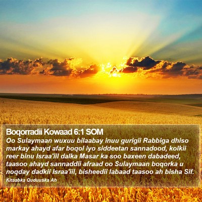 Boqorradii Kowaad 6:1 SOM Bible Verse Image