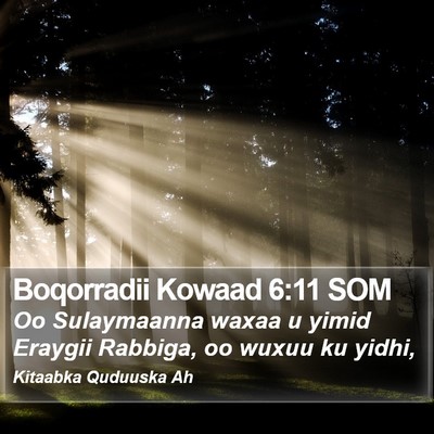 Boqorradii Kowaad 6:11 SOM Bible Verse Image