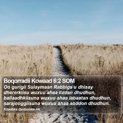 Boqorradii Kowaad 6:2 SOM Bible Verse Image