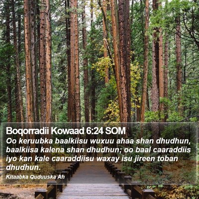 Boqorradii Kowaad 6:24 SOM Bible Verse Image