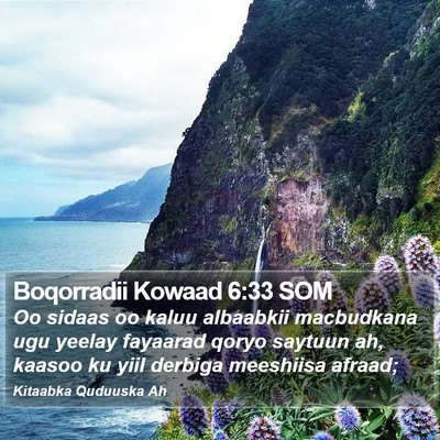 Boqorradii Kowaad 6:33 SOM Bible Verse Image