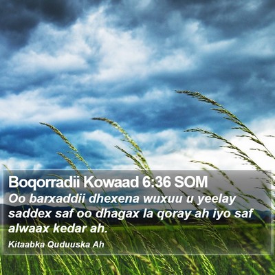 Boqorradii Kowaad 6:36 SOM Bible Verse Image