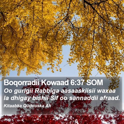 Boqorradii Kowaad 6:37 SOM Bible Verse Image