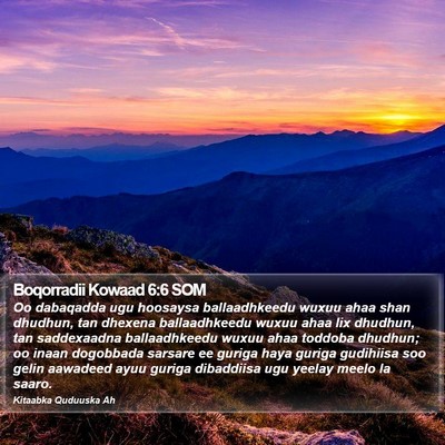 Boqorradii Kowaad 6:6 SOM Bible Verse Image