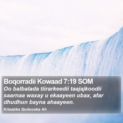 Boqorradii Kowaad 7:19 SOM Bible Verse Image