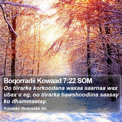 Boqorradii Kowaad 7:22 SOM Bible Verse Image