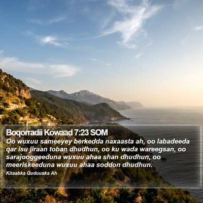 Boqorradii Kowaad 7:23 SOM Bible Verse Image