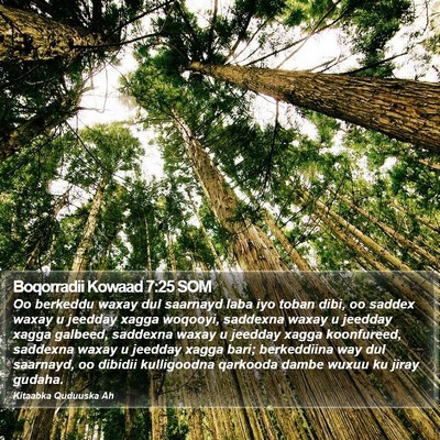 Boqorradii Kowaad 7:25 SOM Bible Verse Image