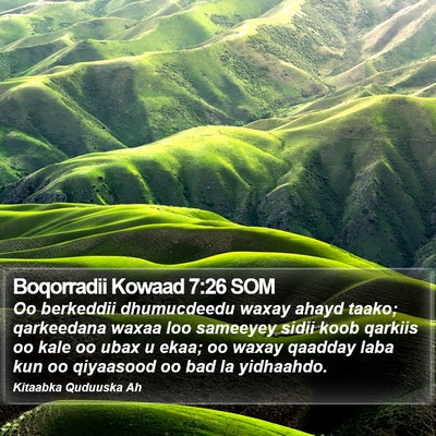 Boqorradii Kowaad 7:26 SOM Bible Verse Image
