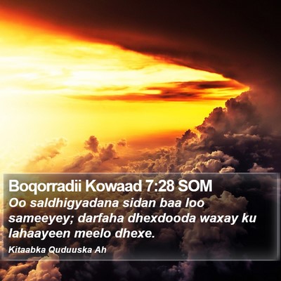 Boqorradii Kowaad 7:28 SOM Bible Verse Image
