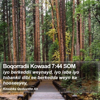 Boqorradii Kowaad 7:44 SOM Bible Verse Image