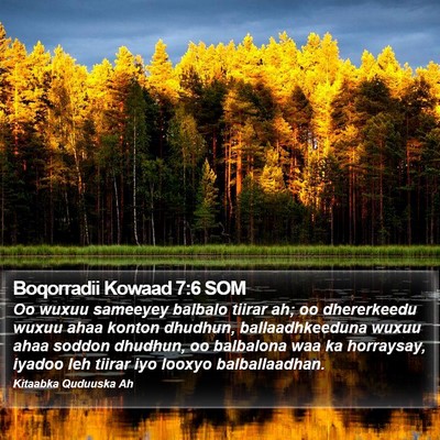 Boqorradii Kowaad 7:6 SOM Bible Verse Image