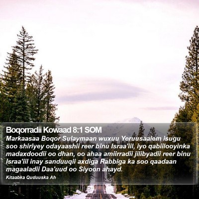 Boqorradii Kowaad 8:1 SOM Bible Verse Image
