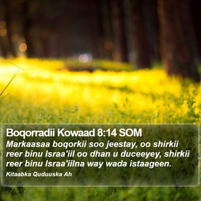 Boqorradii Kowaad 8:14 SOM Bible Verse Image