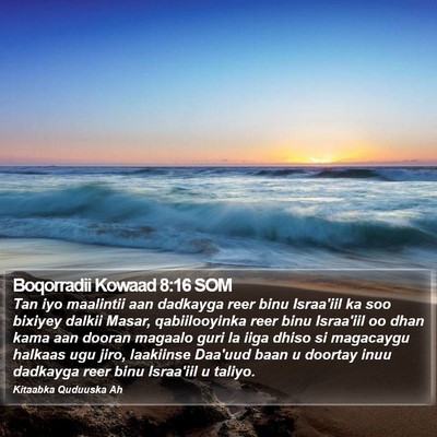Boqorradii Kowaad 8:16 SOM Bible Verse Image