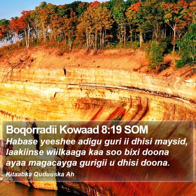 Boqorradii Kowaad 8:19 SOM Bible Verse Image