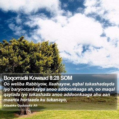 Boqorradii Kowaad 8:28 SOM Bible Verse Image