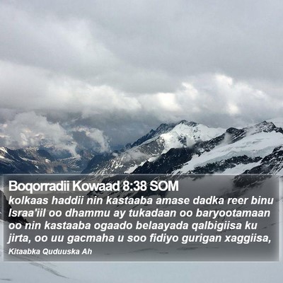 Boqorradii Kowaad 8:38 SOM Bible Verse Image