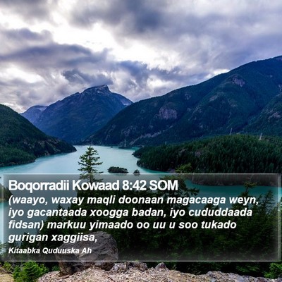 Boqorradii Kowaad 8:42 SOM Bible Verse Image