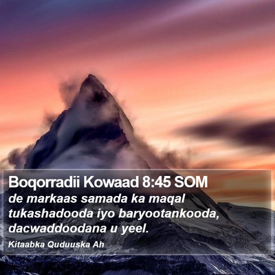 Boqorradii Kowaad 8:45 SOM Bible Verse Image