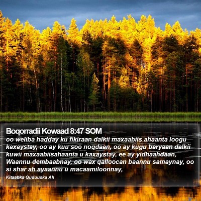 Boqorradii Kowaad 8:47 SOM Bible Verse Image