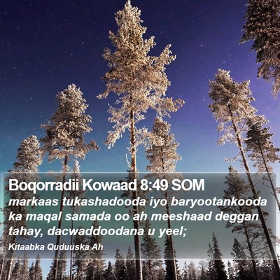 Boqorradii Kowaad 8:49 SOM Bible Verse Image