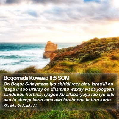 Boqorradii Kowaad 8:5 SOM Bible Verse Image
