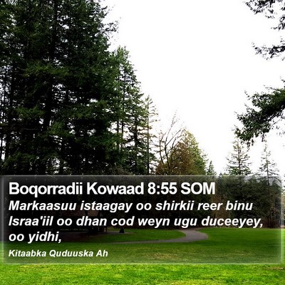 Boqorradii Kowaad 8:55 SOM Bible Verse Image